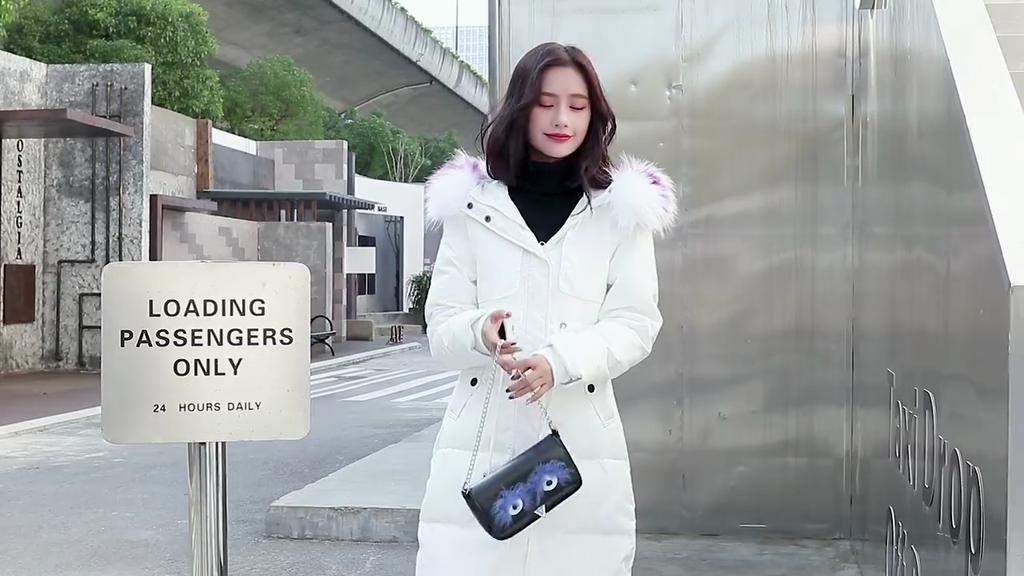 High-end Luxury Down Cotton-padded Clothes Women's Medium and Long New Cotton-padded Clothes Waist Slim-fitting Color Coats