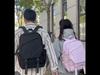 Li-Ning Travel Backpack, Large Capacity, Sport Bag, Business Trip Bag, 20L, Pink