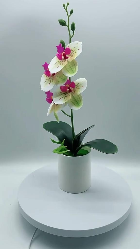 Artificial Bonsai Plant No-watering Realistic Weather-resistant Outdoor Indoor Fresh-keeping Potted Fake Orchid Flower for Balcony