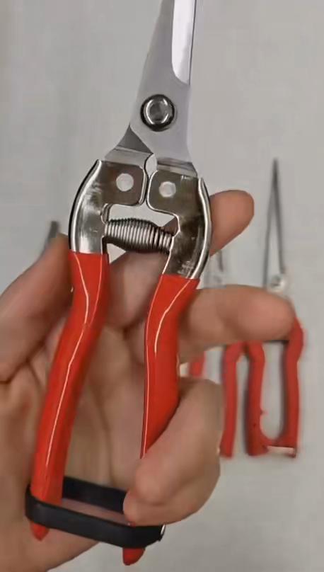 Plant Pruning Scissors Gardening Tools Grass Flower Shears Secator Grafting Pruner Hand Pruner Tool