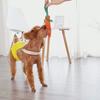 1Pcs Carrot Dog Bite Rope Pet Dog Hoys Safe Durable Braided Bite Dog Chew Toys Resistant Puppy Molar Cleaning Teeth Cotton Rope