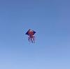 Octopus Kite With Polyester Fabric And Glass Fiber Frame For Childrens Outdoor Play
