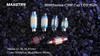 MAXGTRS 2X 12V 24V Festoon C5W C10W 3030 Chip Bulb Canbus Car LED Interior Dome Reading License Plate Lights 6000K