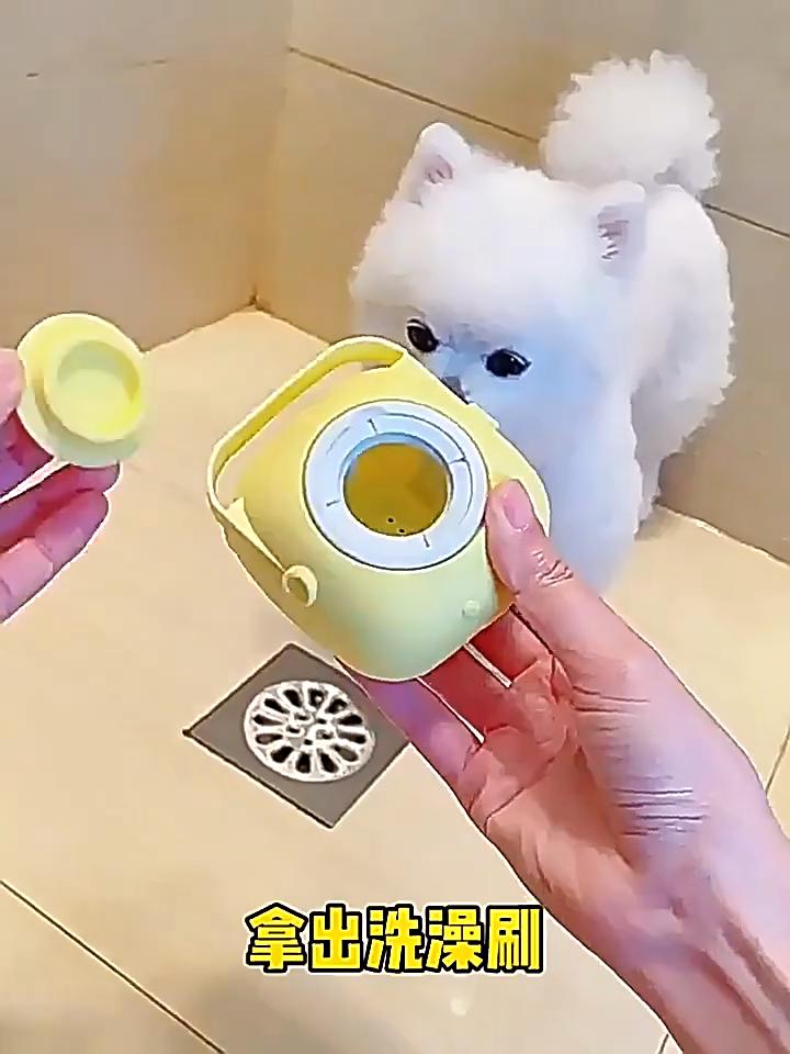 Silicone Dog Bath and Massage Glove Brush, Pet Cat Bathroom Cleaning Tool Comb, Dog Brush, Pour Shampoo, Dog Grooming Supplies