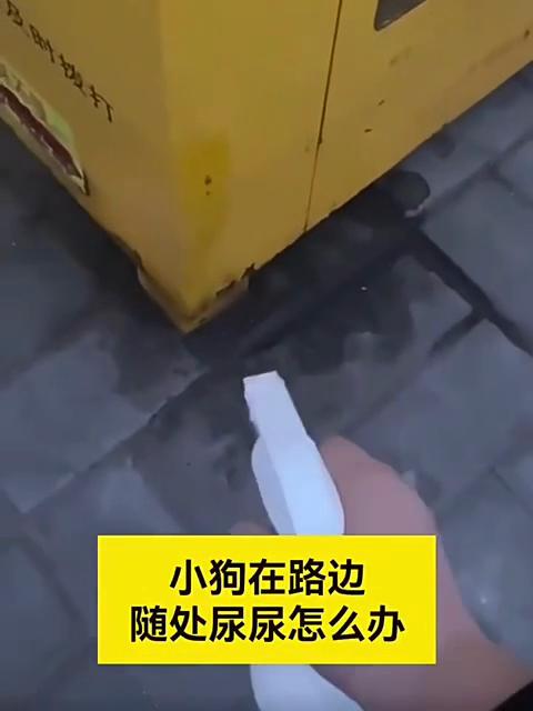 500ml Haustier No-Go Spray Innen-/Außentrainingshilfe, um Hunde & Katzen am Pinkeln, Kauen & Kratzen zu hindern Anti-Haustier-Spray