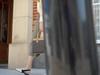 MEXICAN Crossbody Bag, Handbag, Shoulder Bag, Brown