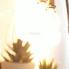 Bombiilas Filament LED Light Bulb Candle Light Glass Bulb Lampara LED Lamp Lighting Bedroom Warm Light E27 220V 240V ST64 A60 T45 G45 G80 G95