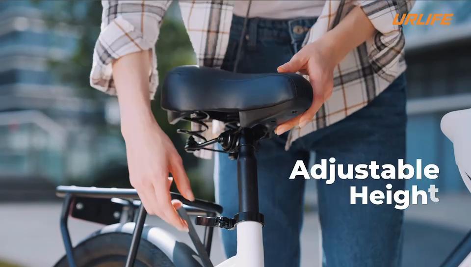 URLIFE-E26 Adult Electric Bike, 36V 250W Rated Motor, 13Ah Removable Battery, 26 Inch Urban Commuter E-Bike for Daily Travel & Work