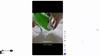 [YoungsVille] Manual Pull Chopper Vegetable and Garlic Cutter