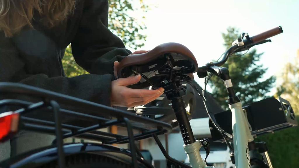 Electric Bicycle FAFREES F26 Lasting 26" 250W Motor Electric Bike Adult Top Speed 25Km/h 36V 20.3AH Range 200Km Load 150KG