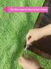 2x2m 2x4m Black Sun Shade Net Fabric, UV Protection Pergola Awning Cover With Grommets Edge, Garden Patio Greenhouse Plant Sun Protection Shade Cloth