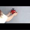 Adorable Ladybug Cartoon Toothbrush Holder With Charming Bathroom Wall Suction