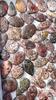 AAA Quality Natural Leopard Skin Jasper Cabochon, Loose Cabochon Lot, Mix Lot, Healing Gemstone Lot For Jewelry Making.