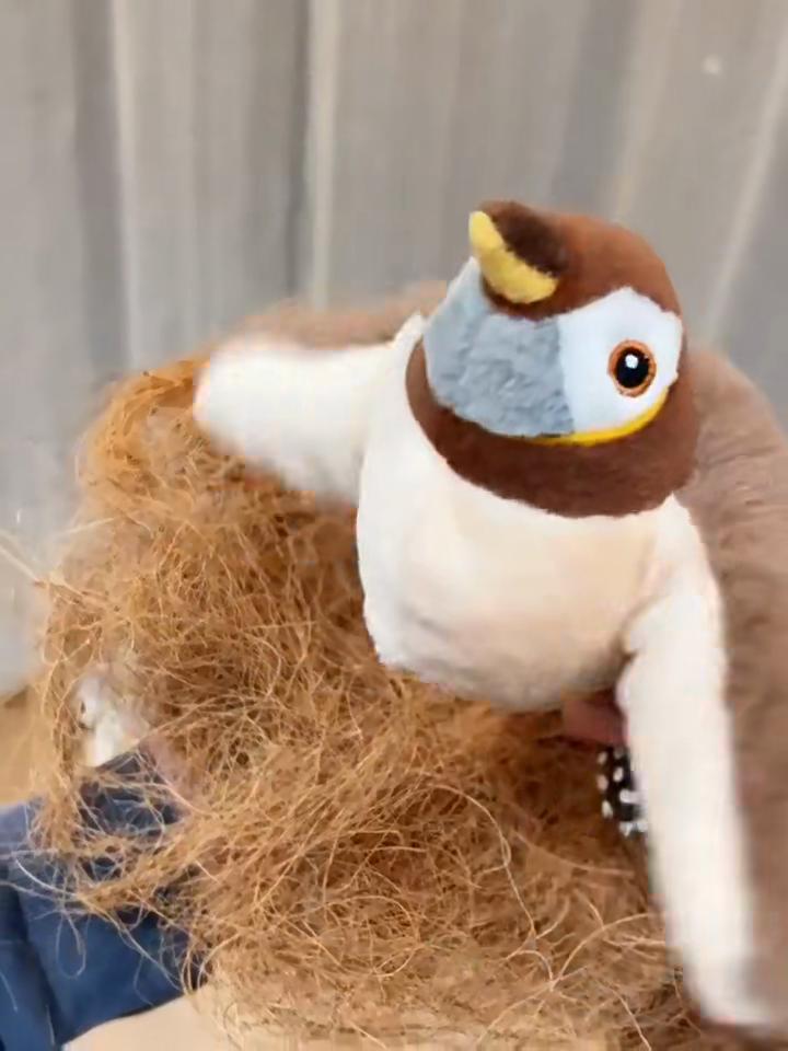 Flying Bird Cat Toy Interactive Cat Toys Rechargeable Chirping Flapping Bird(no Flying) Can Add Catnip Touch Activated Plush Toy