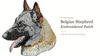 Belgian Shepherd Dog, Belgian Sheepdog – Dog-shaped patch, embroidered patch | Art-Dog