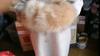 Women's Hat Faux Fox Fur Headband Hat Autumn and Winter Warm Headband Hat Plush Open Top Hat