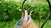 1500MAH Solar Garden Lawn Lights Outdoor Decorative Kettle Art Lamp Metal Iron Waterproof IP65 with Installed Light String Watering Can