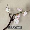 Silk Mimosa Flower Arrangements For House Decoration And Photography Props