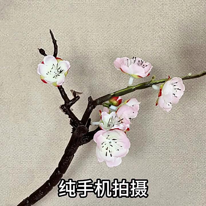 Silk Mimosa Flower Arrangements For House Decoration And Photography Props