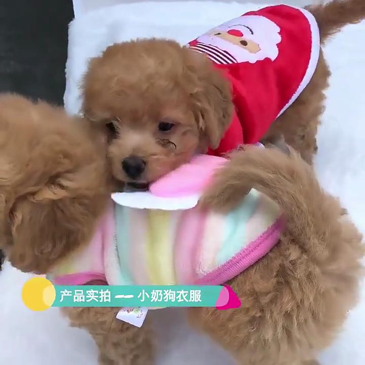 Fleece Pet Vest Small Puppy Cats Clothing Warm Lightweight Wear Cartoon Dog Clothes Chest Size Adjustable Comfort Fit