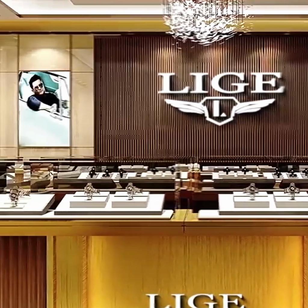 LIGE New Top Brand Luxury Men Watch Fashion Casual Waterproof Date Clock Quartz Watches