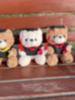 Graduation Teddy Bear Plush Toy With Pp Cotton Filling For Birthday Gift Girls