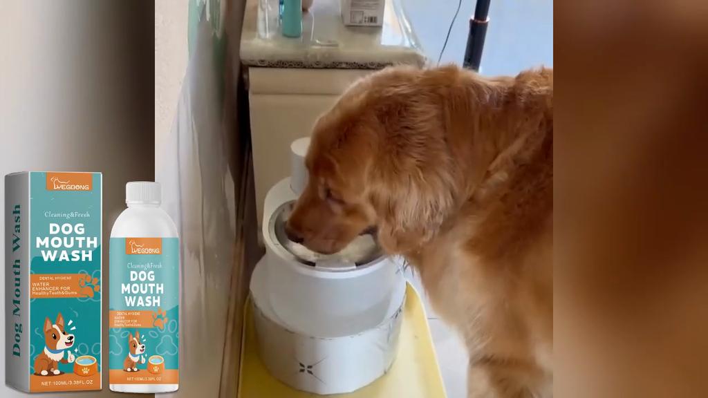Yegbong Dog Mouthwash Caring for Your Pet's Oral Hygiene Cleans Plaque and Odor Dog Mouthwash