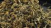 500g Yunnan Fengqing Golden Bud Honey Fragrance Dian Hong Loose Leaf Black Tea
