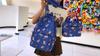 Student Cartoon Backpack Set Female Campus Backpack Lightweight Nylon Three-Piece Schoolbag