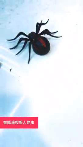 Nové a jedinečné infračervené diaľkové ovládanie Elektrické hračky proti hmyzu Elektrická myš Slimák Zákerné hračky Spoof