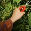 Mini Pruning Shears Garden Scissors for Indoor Plants, Sharp Stainless Steel Flower and Bonsai Trimming Tool for Houseplant Care and Gardening