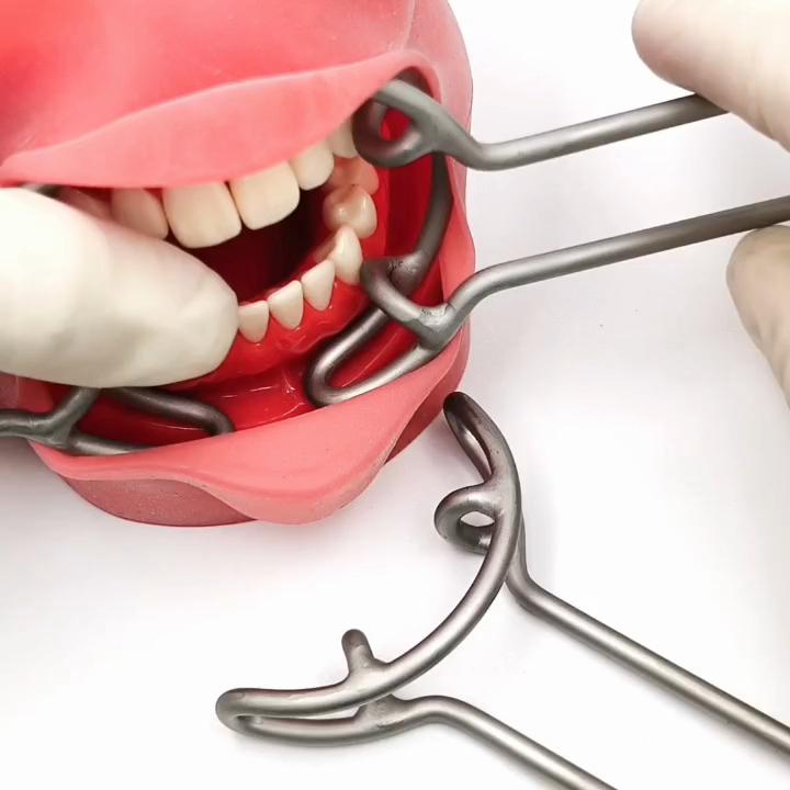 Upgrade Dental Orthodontic T Shape Vestibulum Retractor Lip Cheek Retractor Mouth Gag Opener Mouth Retractor Double Ends