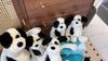 Shy Puppy Cute Soft Doll Pirate Dog