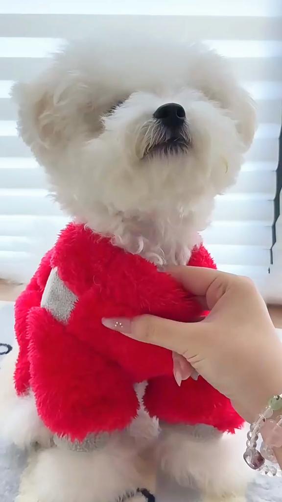 Polar Fleece Four-Legged Dog & Cat Winter Warm Coat with Colorful Stripes Insulated Pet Apparel for Small Breeds Teddy Bichon