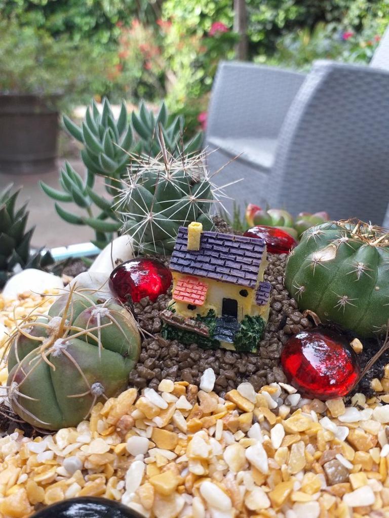 NUOBESTY Mini Ornamenti in Resina per Giardinaggio e Micro Paesaggi