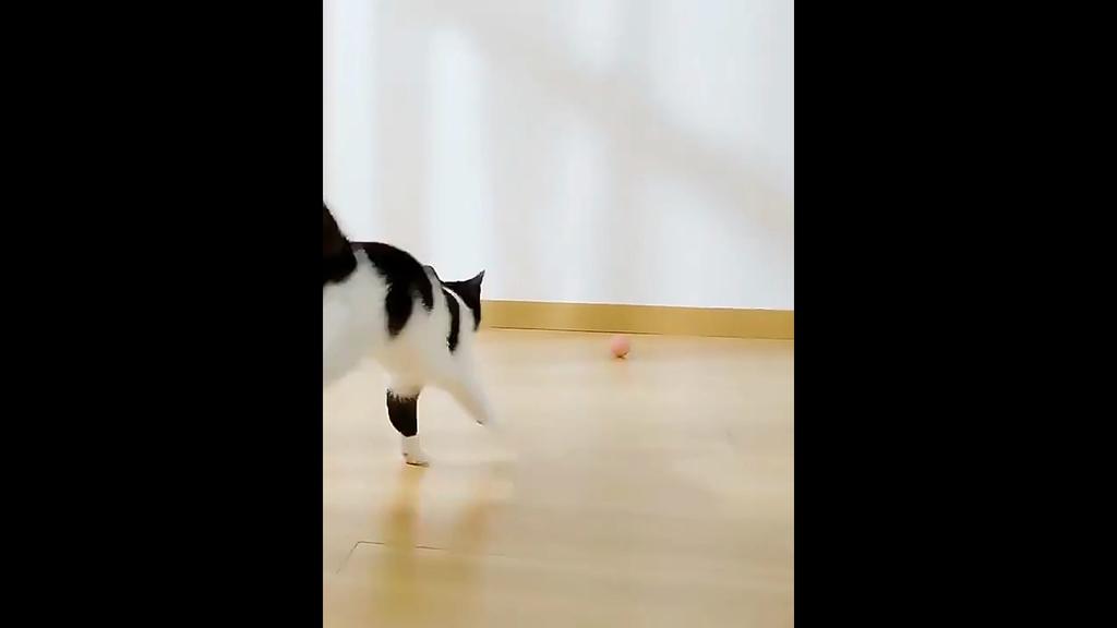 Electric Cat Ball Toys Automatic Rolling Smart Cat Toys Interactive for Cats Training Self-moving Kitten Toys for Indoor Playing