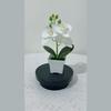 Butterfly Orchid Artificial Plant With Plastic Material For Home Decor And Photography Props