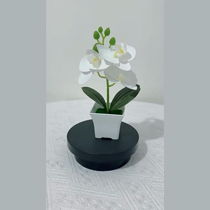 Butterfly Orchid Artificial Plant With Plastic Material For Home Decor And Photography Props