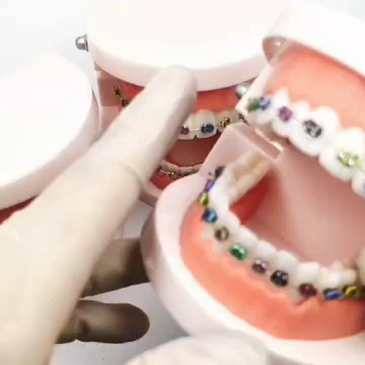 1 Piece Dental Standard Model Removable Teeth Soft Gum TYPODONT Model For Adult or Kids Dental 1:1 Study Teaching Model