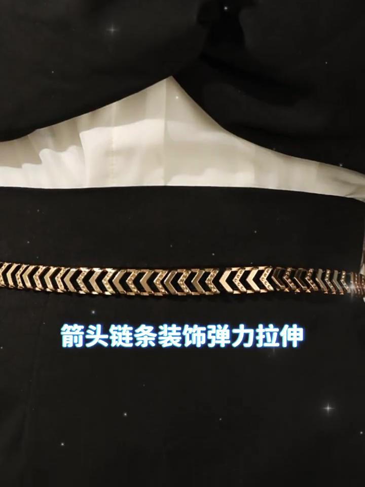 Belt, Fashionable Women's Metal Elastic Belt, Thin Waist Seal Decoration Simple Korean Version Skirt Accessories Belt