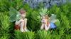 Seasonal Display Miniatures 2Pcs/Set Boy And Girl Fairy Statues Resin Miniature Figurines Ornaments Cute Mini Figures for Garden Potted Plant,