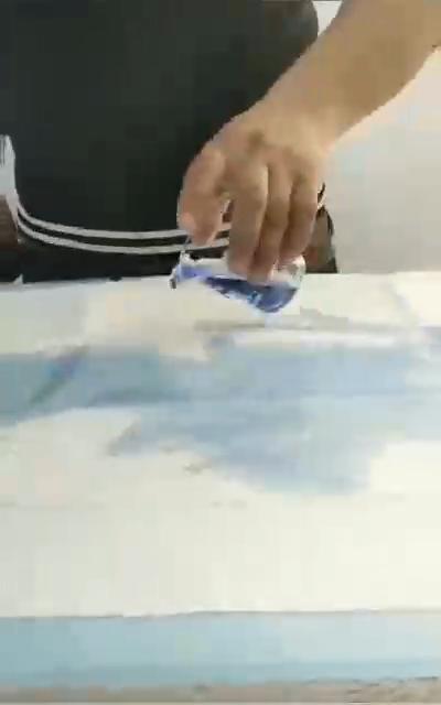 Disposable Diapers for Cats and Dogs Pet Absorbent Non-woven Cloth Diapers Convenient Dogs Cats Pet Supplies