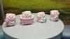 6Pcs/set Cartoon Shower Pig Miniatures Resin Animal Ornaments Moss Terrarium Micro Landscape Fairy Garden Decoration