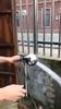 Portable 360 Degree Rotating Shower Head With Three Adjustable Modes For High Pressure Water Saving
