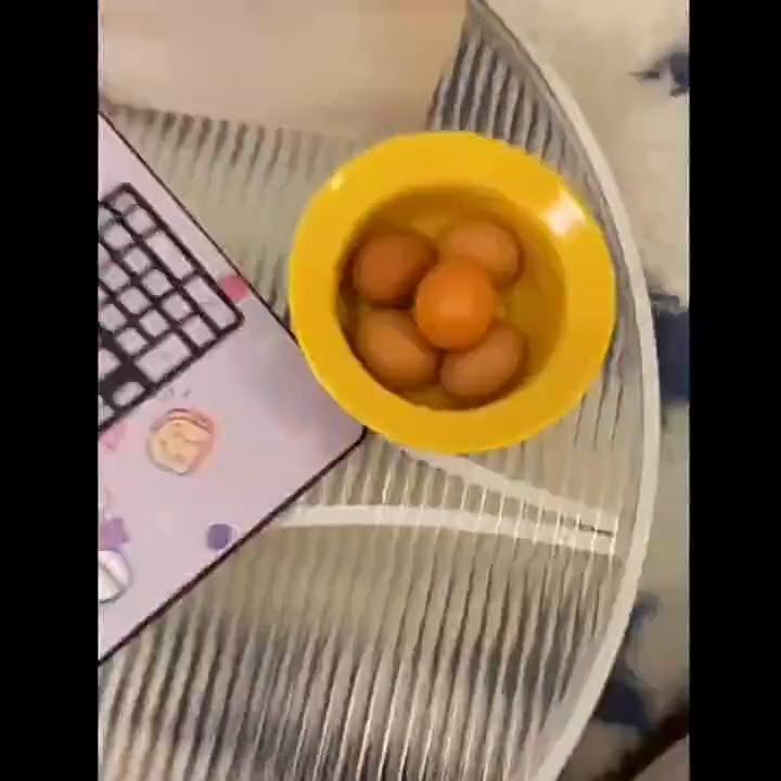 Kreativní Shiba Inu realistický tvar vejce PVC dekorace na stůl Dekorace pro psa a vejce pro domácí kanceláře Zábavné vánoční dárky