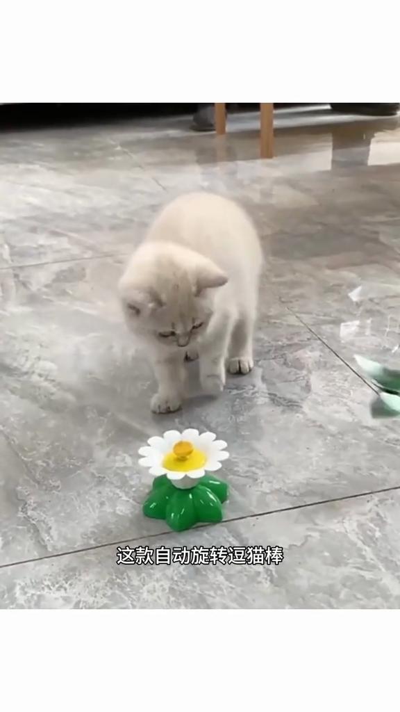 Cat, self-hi electric bird toy cat teaser rotating cat automatic flying hummingbird butterfly cat simulation