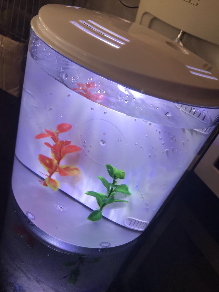 the range fish tanks