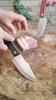 Stainless Steel Fishing Knife Kitchen Fruit Peeling Knives Meat Cleaver Sushi Knife Cutter