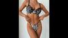 Women’s European & American Sexy Bra Set, Lace and Embroidered Leopard Print Underwire Push-Up, Comfortable Intimate Wear