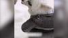 Hooded Ear Decor Four-Legs Plush Warm Buttons Closure Pet Coat Cartoon Shape Pet Dog Jumpsuit Pet Supplies